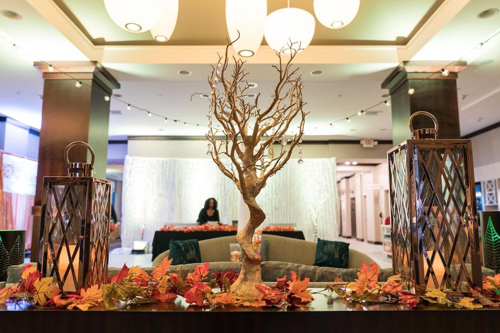 Hilton Garden Inn Shirlington Arlington Eksteriør billede